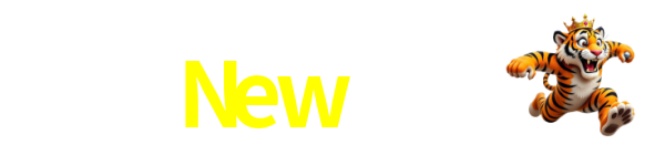 Logo da New555